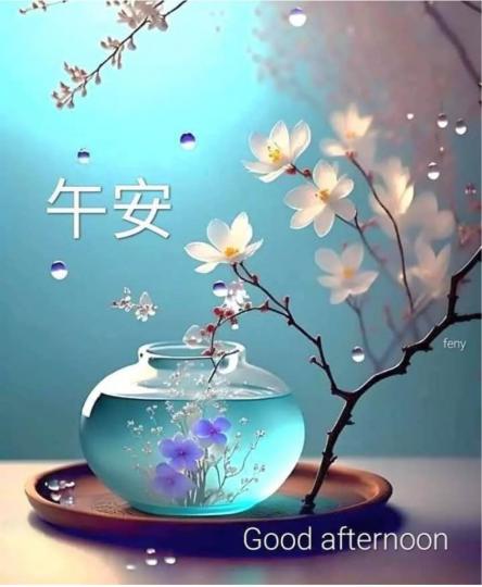 E412A6BD-53F0-413A-A3B8-7A30D5771BF4-49753-0000049C8CCBE403