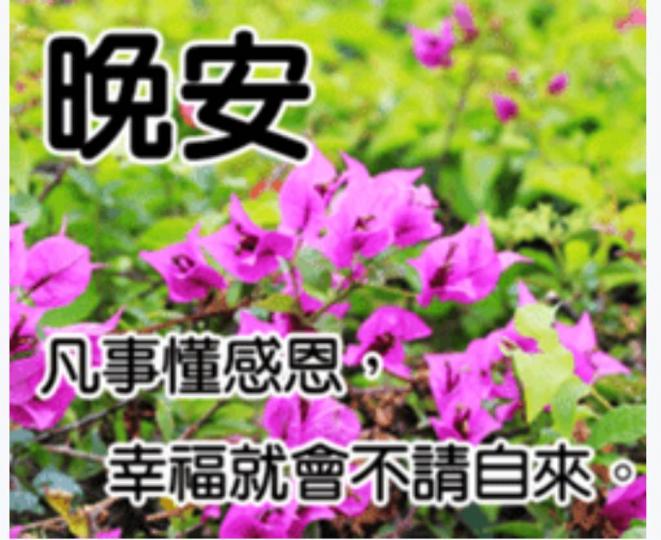 E4D97803-69EB-4D7B-81C2-E9E02A9DC79C-31936-0000064F24B184C4