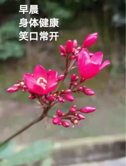 E5510739-1801-4409-A6F9-780DB9588F11-28570-00000E5D3238255A