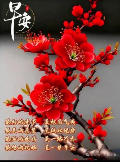 E6E49D3D-89FD-4EB0-8A0E-B05456773CE3-35677-0000039011D7AB0B