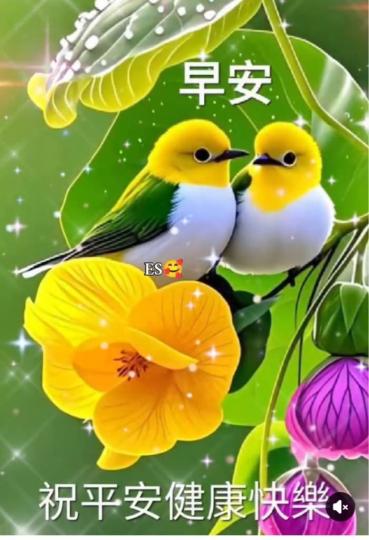 E75811CA-4F42-42E3-80DD-3B846BCE7938-52082-00000D949815A1A7