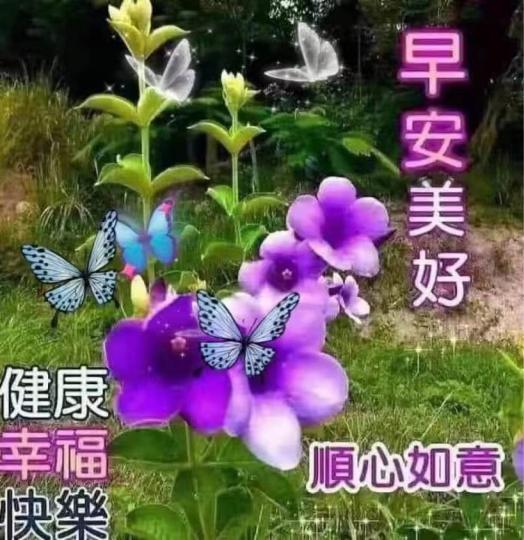 E76F735D-95E8-4C42-9E87-A7641DE6C53F-17809-00000D245B25B0A4
