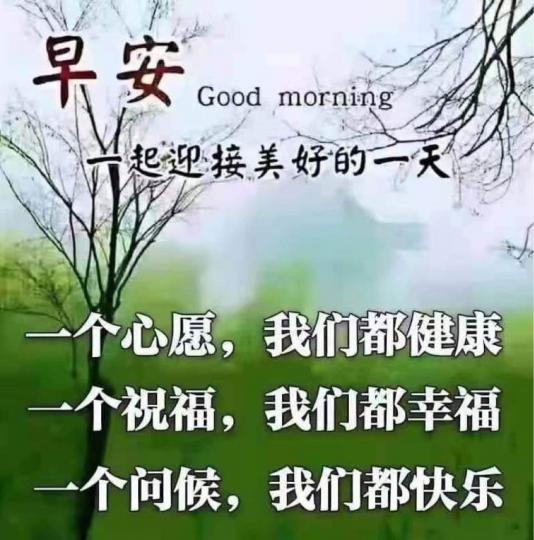 E86130D0-4460-49A7-9DF9-6B9EA01D71A3-63701-00000784D82C7860