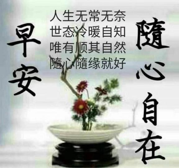 E8A1AE01-86CD-43F2-A75F-96E01048DE87-6062-000000C246883334