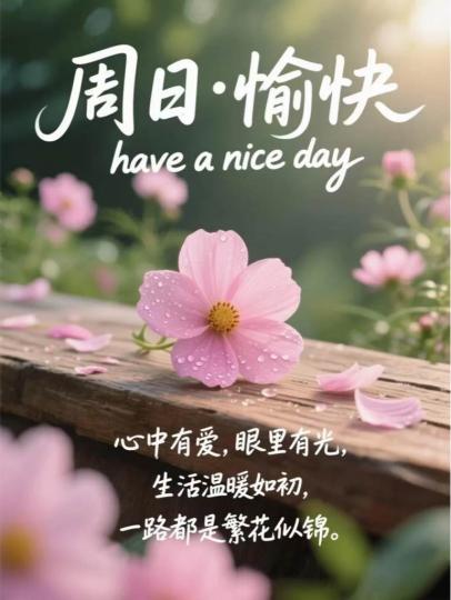 E8DF926E-573B-4692-B3E2-528BE85F41C6-10902-0000012109491F72