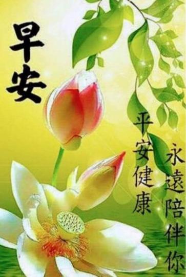 E92107A1-903C-4EF4-8A4F-D5B30BC5A71E-3854-00000280F3CE982A