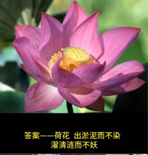 EA9F7729-7C69-471D-89F6-D153B27AB655-2643-000001308F82D604
