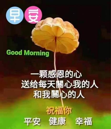 EBFD196F-EEC4-4CF4-9C74-9F0B5DDE4445-51546-000010D8190C3A50