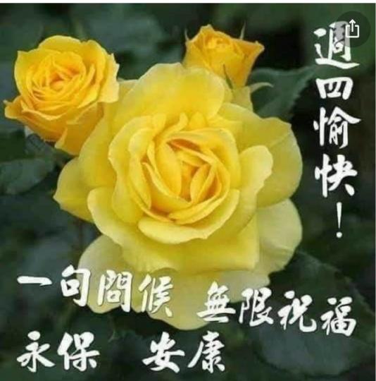 ECE207F2-8208-4A34-8059-44C699D30237-20661-0000024C8AE96F48