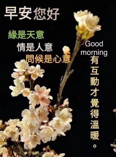 ED118C0E-6BA8-4F73-ACDB-2D21CA598787-79418-000013BD12BB821E