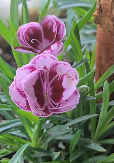 ED11DF70-8E19-48F9-B922-DD6EFAD2C5BA-57849-00000538D5231ECB