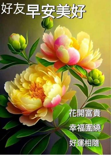 EEF54E67-0674-4A65-9D87-769E26A98935-22047-00000269E2B9542B