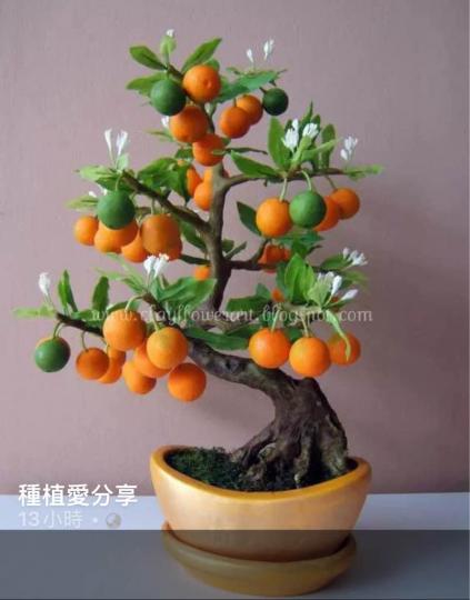EF3B64B4-8F3D-4773-8EC6-79A689CFF494-41914-000004CE332854DB