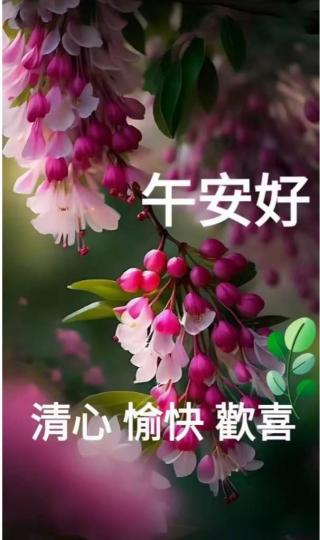 F0D20169-22BE-4381-9FBD-8D739CD5847F-52757-000005A573312A86