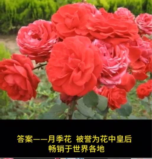 F101C538-1B6C-426A-95CC-A85655A6B2FF-1303-000000A85F1E1883