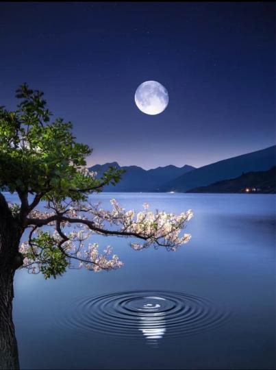 F1B8D204-20AD-4BE3-8267-3F9A6DC5721D-37676-0000039476BB32EC