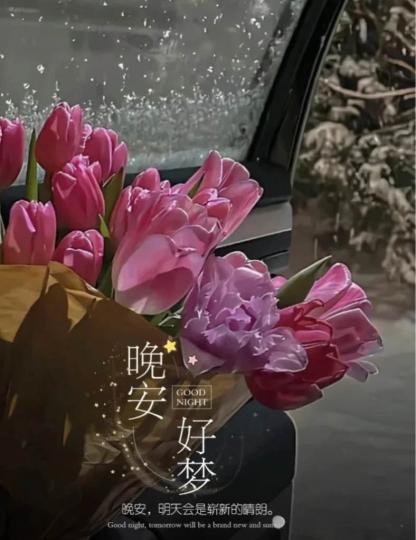 F1C6540E-D2D7-495F-9E4B-BE5D4E8353D4-19094-000001FD41830B4B