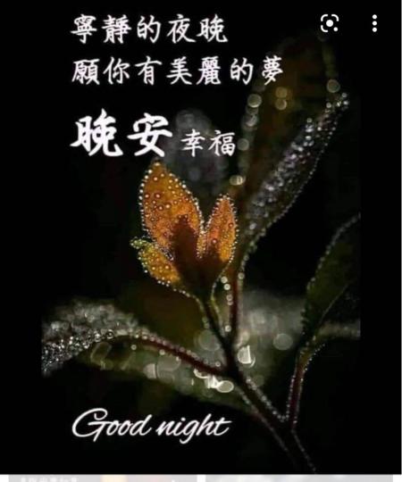 F23F7682-27D2-4AC2-83B9-B93DBCFC6916-30429-00000556AE821A3C