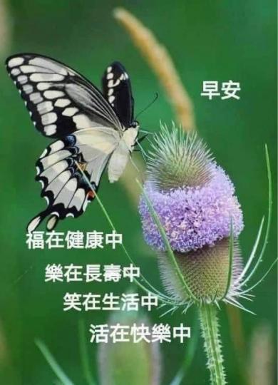 F293D3FC-431B-4FAF-A5E8-778F87339FEC-24214-00000DA755356B7B