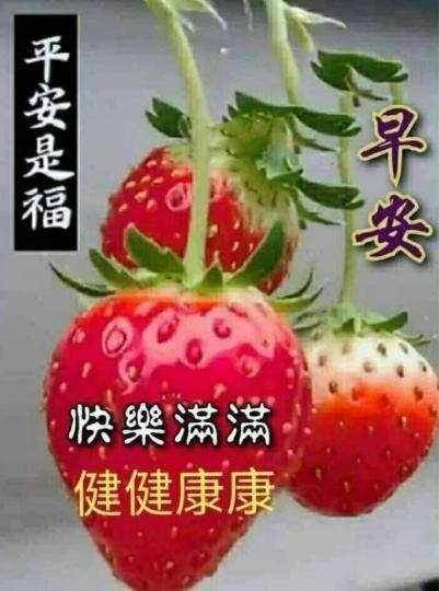 F2B543A3-7746-40E4-A350-1B14734CD8E9-2870-000000467AD74AF4