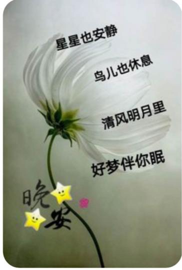 F2C5B474-743D-4656-B62A-F2D28005303D-15512-000001B56FED5A7A