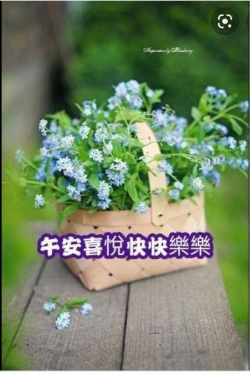 F2CB35D2-8DD7-44C8-BAEC-E8EB590F9257-3153-00000198472DD8BD
