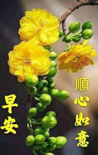 F3B768A8-C3FD-489E-A9D7-7E48F7FEE003-40695-000004951EDC0242