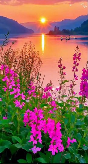 F4E07CE2-F3A5-49F4-B436-419B842DE5BB-97268-0000161DF8E64FAC