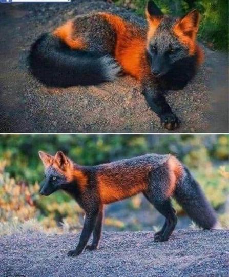 F55B8F3B-3D6B-48A7-8182-B2D9C42B9AD5-78353-00001F2CF37C9587