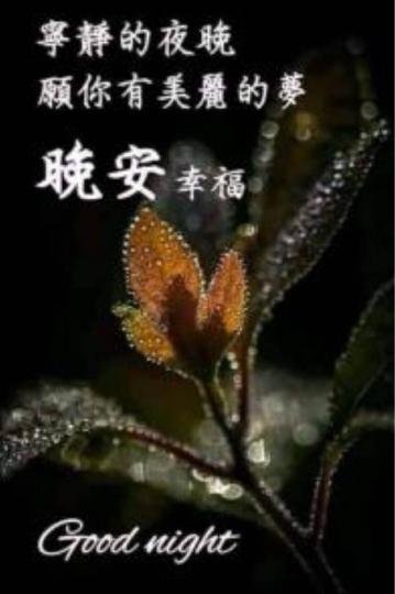 F624F07E-0EB9-4A0F-8078-0909094977A0-96192-00000B52BC07524B