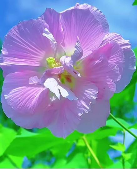 F68DF866-AB55-4239-8DF1-9FFBE8F1F759-65924-000015C1F9D2129F