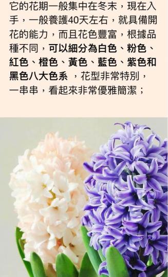 F7120137-1EDA-42EF-8078-94A1861A4923-11122-000001326B3A6681