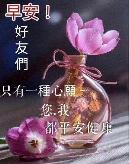 F7382C53-B55D-4EA2-AC36-15C6735A23F5-13641-000001908DADB1DA