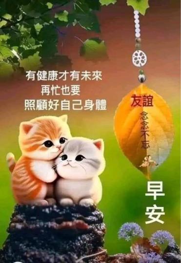 F7B8D090-3FEF-434F-9BBB-F5F55DDE4297-10496-000010677C2C9466