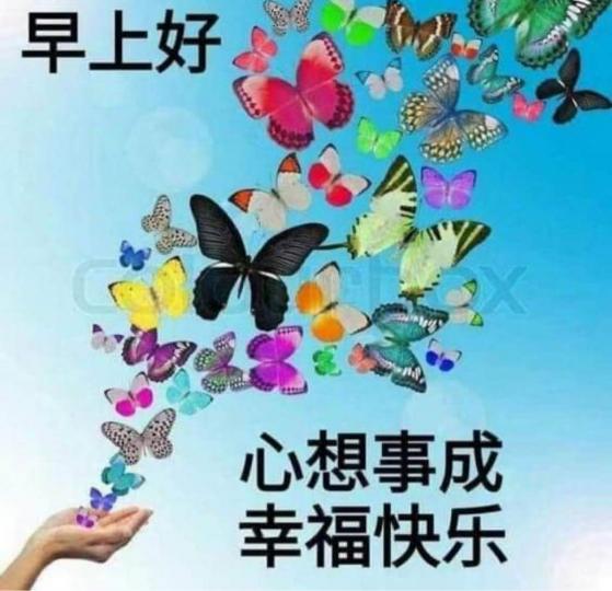 F7F5299A-447C-43C0-AD4F-D603A7535964-1459-00000097DDBE0BE8
