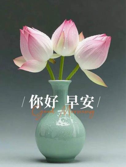 F83F967C-EB2A-41D9-8730-33447824393B-83387-0000091CD3CB99D2