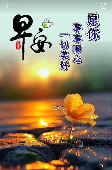 F871E547-8638-438D-A500-FF72CA73426A-14059-000001A76A96CDAE