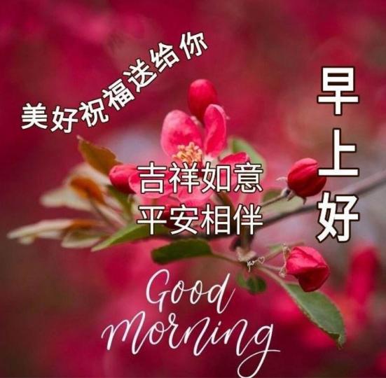F8E2AD19-A87B-4E5F-9851-751E79A3F3F8-24956-000004E1E8D0B078
