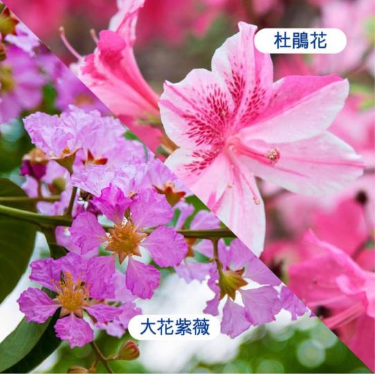 F953CE2E-E72F-4D82-83DB-4428F5070247-16999-000001E7491954B2