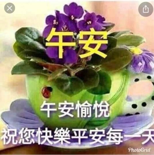 F96341AD-2744-4272-871D-68F7F29B14C1-5079-000003571F601F8F