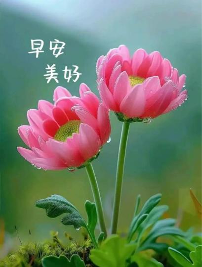 F99A1EBD-B43A-41B3-A789-D32ADEC95228-19721-000012906D5AAC27