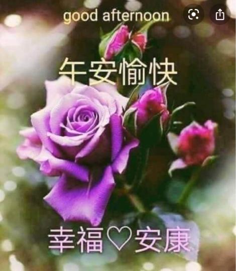 FA0D9942-8B65-4FC4-A679-5D6723D76A1A-19712-0000066205F951CE