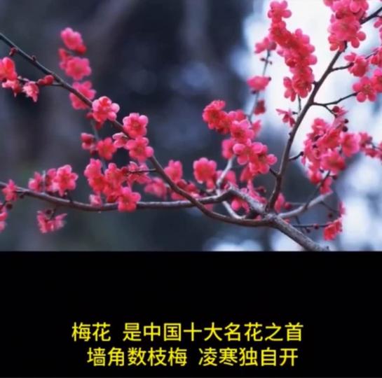 FB47FD6A-2D40-4513-AE46-ACFB4E5BD672-27441-0000063A3E8DFA4F