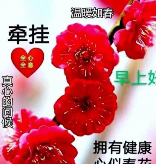 FB7572A2-FB48-4A63-8877-B99F35654DFC-53308-000005D0E1CD9A45