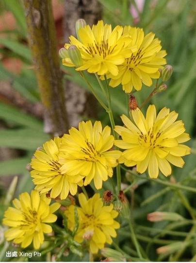 FBB1CF0E-4EE5-4B3B-AA0A-529301858C72-91587-0000074487B084E9