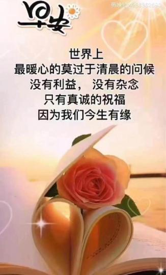FBE0D542-BF56-4737-987B-0F5EDC534DB3-61325-0000069D9B3099EA
