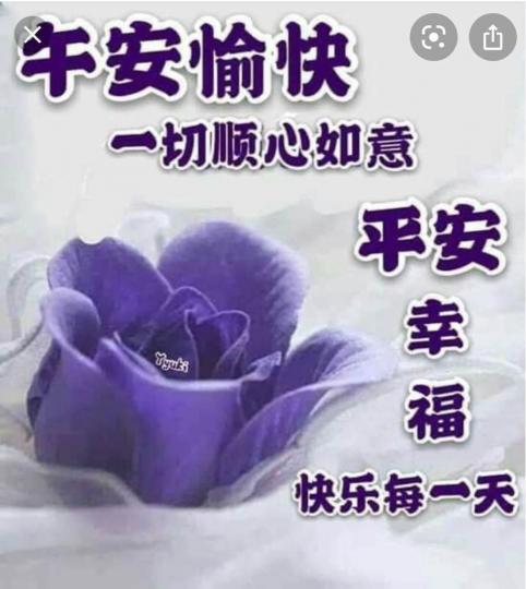 FC53B7AD-53B1-4730-8EBE-25631E9647F2-14013-000002AD31425063