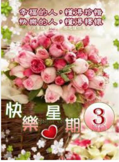 FCE65CB1-CAAF-4CB6-8830-C92E6B7F7E97-92041-000009F7ABFDD386