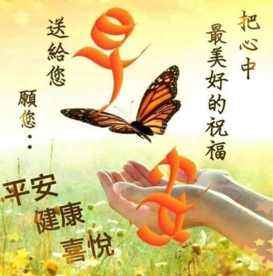 FD109492-A5AD-4AC1-8206-C7CA79AA2778-7402-00000209A8C82005