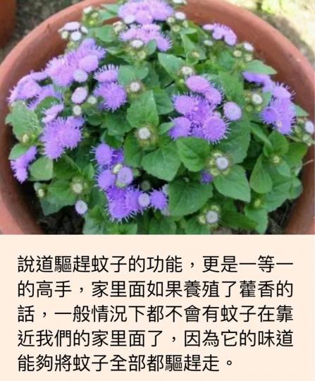 FD2D47B2-FF9A-4041-AA58-362192715695-16632-000001BE98EF1B08